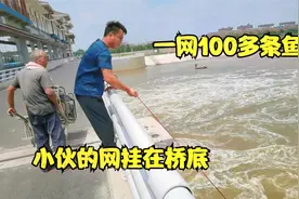 徒骇河开闸，网挂桥底，别人每网都爆网，小伙却打不到视频封面