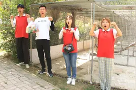动物园2：孩子们去公园玩，看到荷兰猪，老鹰，松鼠大家都很开心视频封面