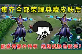 集齐全部荣耀典藏皮肤后，能获得额外特权！绝版皮肤也能买？视频封面