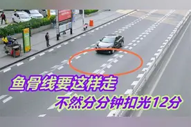 交警：高速碰到鱼骨线就该这样走，做错3小时扣光12分，别不听劝视频封面