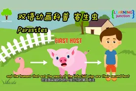 小朋友看的双语科普动画 寄生虫 Parasites
