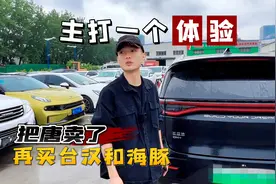 粉丝花二十多万买的比亚迪唐DM-i，才开半年就要卖，这要亏多少钱视频封面