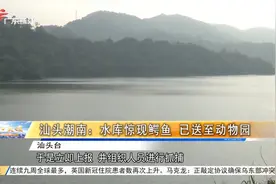 汕头潮南：水库惊现鳄鱼 已送至动物园视频封面