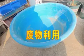 变废为宝的小院园艺人，泡澡盆、泡澡桶都大有用处！视频封面