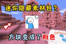 迷你世界：迷你隐藏素材包，可以把方块全部变成粉色！太好看了吧