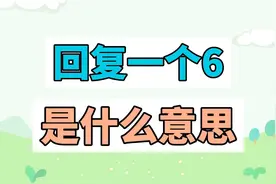 回复一个6是什么意思？视频封面
