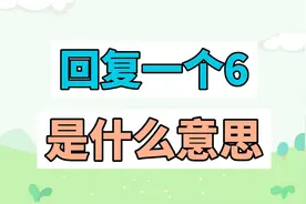 回复一个6是什么意思？视频封面