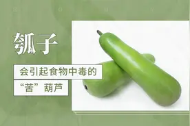 会引起食物中毒的“苦”葫芦——瓠子