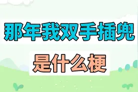 那年我双手插兜是什么梗？视频封面