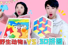 拼图还能拼出3D效果？立体拼图VS野生动物，巨型大象也能拼进去？视频封面