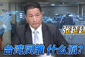 大陆人眼中的台湾凤雏张延廷，“文武兼备”的“人才”视频封面