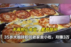 35岁大姐辞职回老家卖小吃，月入3万，不再担心失业，累并快乐视频封面