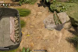 绿色地狱：荒岛求生第6天 第一次下水抓鱼，能否抓到鱼美餐一顿呢