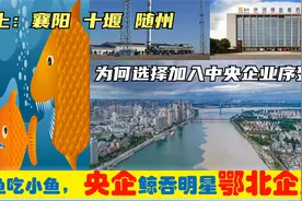 中央上收鄂北襄阳随州十堰宜城等6大明星企业，从此鄂企变央企视频封面