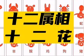 十二属相十二花，每一个属相都有自己代表的花。你属啥？