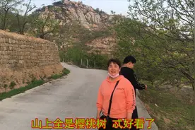 实拍山东泰安徂徕山山路，万亩樱桃风景秀丽，让人流连忘返视频封面