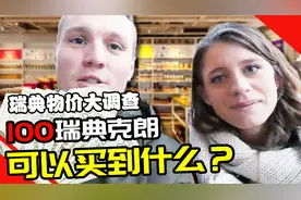 在瑞典，100克朗（约76元）能买些什么？视频封面