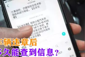 车辆违章后，多久能查到信息？交警：过了这个时间，就不用担心了视频封面