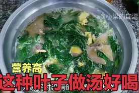 远嫁广东：猪肝枸杞叶做汤好喝，但是这2类人群不能吃一定要知道视频封面