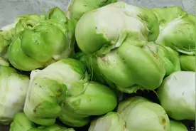 原来榨菜是这样长的，很多人都没见过，分享榨菜的两种吃法，真香视频封面