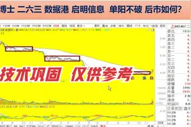 鹏博士 二六三 数据港 启明信息  单阳不破 后市如何？技术巩固视频封面