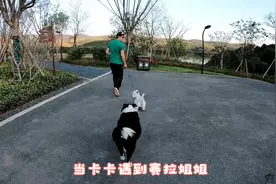 当卡卡遇到赛拉姐姐，卡卡很主动赛拉不拒绝，房车生活简单快乐视频封面