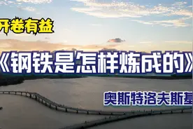 开卷有益：名著品读——《钢铁是怎样炼成的》： 第八回视频封面