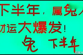 下半年生肖兔运势
