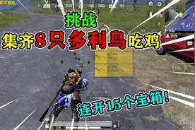 和平精英：挑战和平之翼，集齐“8只多利鸟”，连开15个宝箱！视频封面