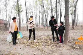 农村一家人去菜园干活，回家的路上小欧受伤了，爷爷哭笑不得视频封面