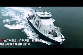 粤港两地联合开展“清湾行动” 抓获353名犯罪嫌疑人视频封面