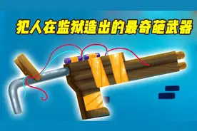 犯人在监狱里造出来最奇葩的武器都有什么？