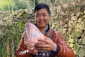 4斤大牛心，先卤后凉拌，又是一道绝美下饭菜，哥俩今天有口福了视频封面