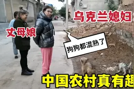 乌克兰媳妇嫁到山西，村头的狗围着直转：彻底融入了农村生活！视频封面