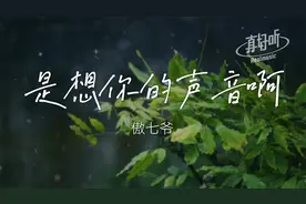 傲七爷 - 是想你的声音啊【完整版】动态歌词 你快听 滴答滴