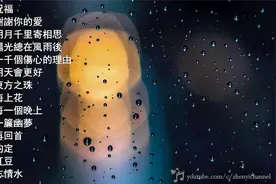 流行鋼琴曲 14首華語流行情歌經典钢琴曲 (張學友 王菲 蘇芮 等)