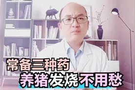 养猪退烧要慎重，常备这三种药，轻松应对猪发烧视频封面