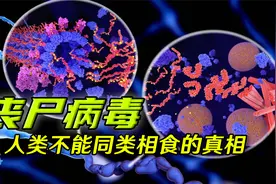 真实存在的“丧尸病毒“，来源竟是同类相食？刻在基因里的禁令视频封面
