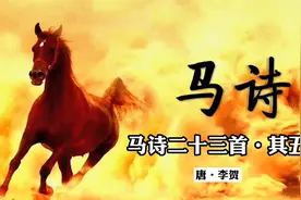 《马诗二十三首·其五》原文加译文视频封面