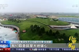 惊艳世界！走进雄安郊野公园，探访赏之不尽的生态之美|新闻1+1视频封面