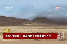 恐怖！遮天蔽日 南非超百个农场遭蝗虫入侵视频封面