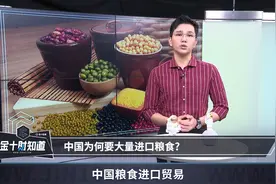 13000亿斤！中国粮食年年丰收，为什么从“出口国”变“进口国“视频封面