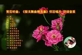 赏花听曲：《探戈舞曲精选集》环绕音质 休闲佳品