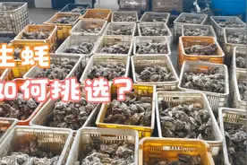 生蚝哪里不能吃，肚子里究竟是什么东西，都能吃吗视频封面
