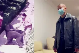 狗主人王新刚，撤职！河南安阳“狗咬人”事件处理结果公布视频封面