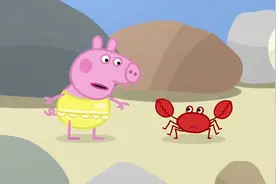 小猪佩奇学小螃蟹走路，太可爱了！还救了好多小鱼！