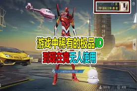 和平精英：吃鸡中稀有的极品ID，到现在竟无人使用视频封面