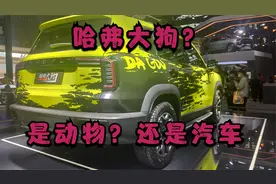哈弗大狗？这是汽车还是动物？长城哈弗汽车，最近又跟动物扯上了视频封面