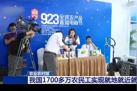 我国1700多万农民工实现就地就近就业视频封面