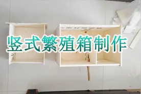 分享一个鹦鹉繁殖箱的制作